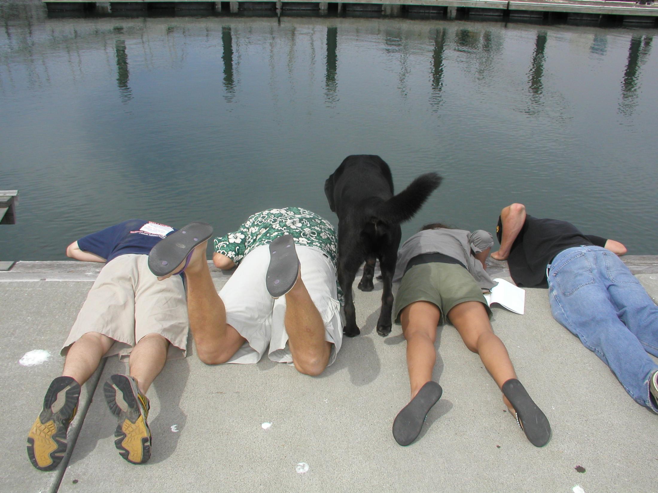 Current Students